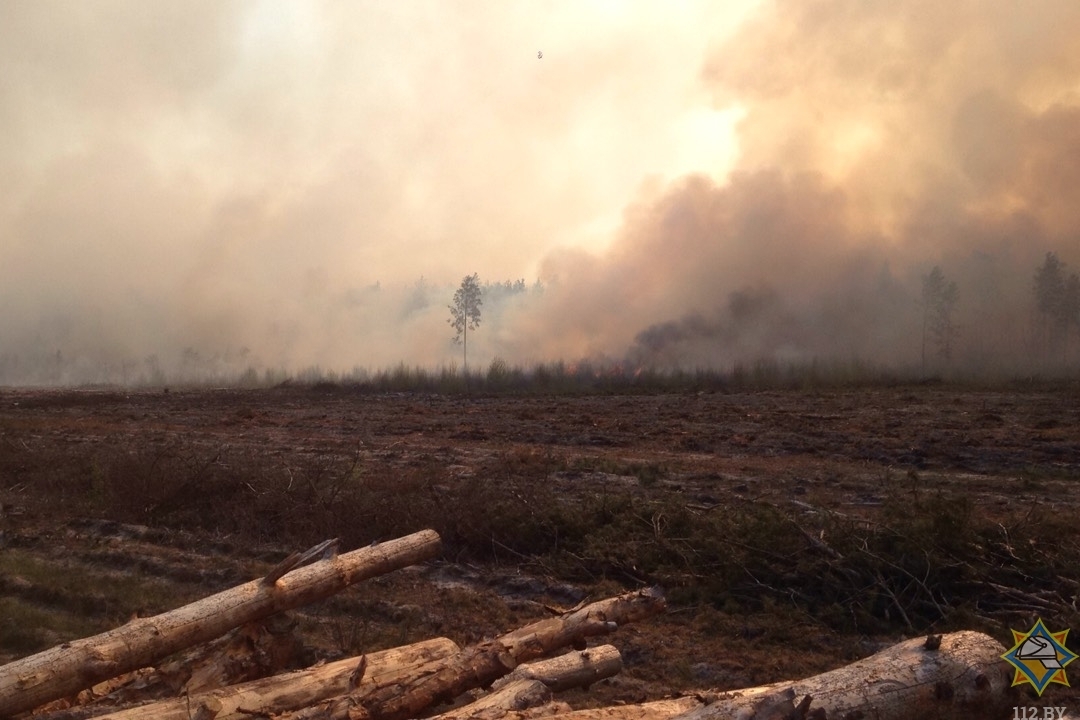 Fire at the marshlands of Ol'many © brest.mchs.gov.by